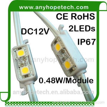 Ultra bright 0.48w 2LEDs waterproof led pixel light